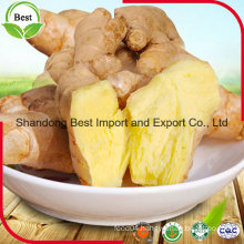 Chinese Fresh Ginger with Different Size